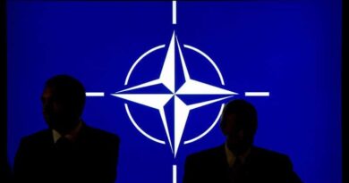 Др Алек Рачић: “НАТО је одавно заузео наше институције и поставио овакве као ви да га штите од тешких ратних злочина које је починио“
