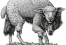 Како је тероризам повезан са “браниоцима од тероризма“
