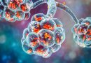 Разликовање вирусних од бактеријских инфекција преко леукоцитарне формуле ККС